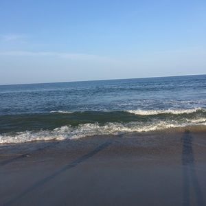 Meet your Posher, Sam